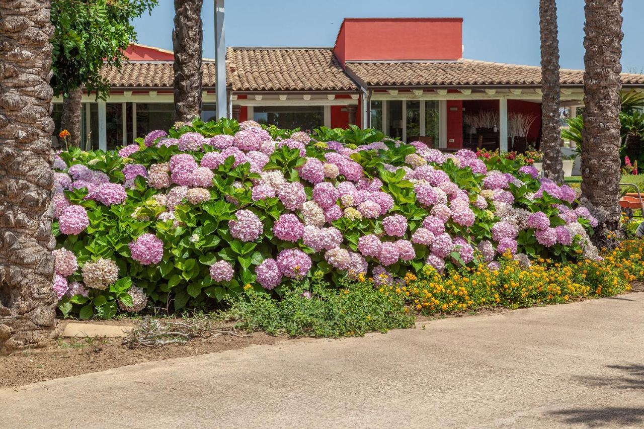 Il Giardino Degli Dei Villa San Leone Exterior photo